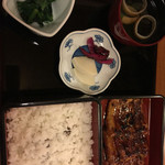 Unagi Matsukura - 