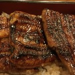 Unagi Matsukura - 