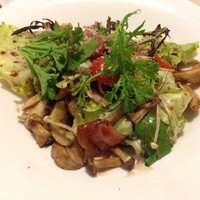 サント ウベルトゥス - 