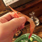 五郎 - 日本海の幸、天然の甘さを酒とともに堪能する！