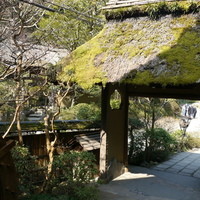 うかい鳥山 - 