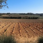 Château des Fines Roches - 