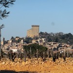 Château des Fines Roches - 
