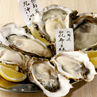 Directly delivered from Toyosu! We are confident in our quality! Taste and compare seasonal Oyster from all over the country!