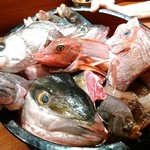 魚匠 銀平 銀座店 - 