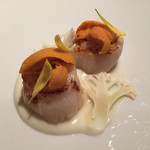 ポンテ デル ピアット - 帆立貝ソテーと生ウニ カリフラワーのクレマ
      菊の花カリフラワーピューレ