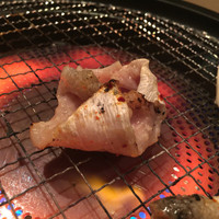大阪とらふぐの会 PREMIUM - ふぐ皮が可愛すぎる