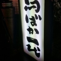 鳥ばか一代 - 
