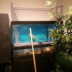 心斎橋神楽 - 生簀♪帰りに撮影したらほぼからっぽに～！