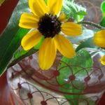 朝食屋コバカバ - COBAKABA