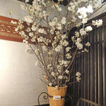 鮨でですけ - 春ですねぇ〜〜♬