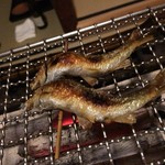 松川 - モロコ(琵琶湖)絶品