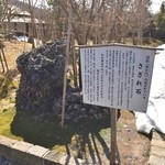 江口だんご本店 - さざれ石