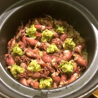 日本料理 太月 - 2016/3_蛍烏賊と蕗の薹の炊き込みご飯