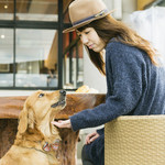 カフェ・スコーラ - 