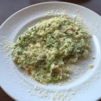 トラットリア グランボッカ - あさりと菜の花のクリームソースリゾット
