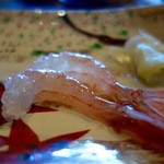 鮨おおね田 - ［2016/03］酒肴④ 森産 ぼたんえび