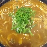 とり天カレー大1070円