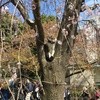 イタリアンバル アクア 上野公園前店