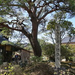 夜がらす山荘　長多喜 - 