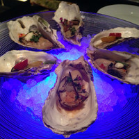 MAIMON GINZA - 