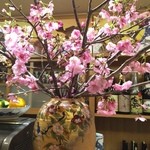 ふじ木 - 陽光桜  とても綺麗