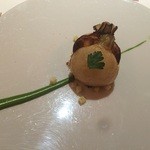 レフェルヴェソンス - 