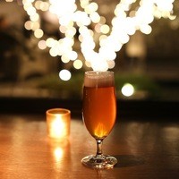 CICADA - ビール