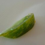 芦屋山手倶楽部 - 