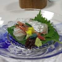 せい月 - かんぱち、鯛、甘エビ