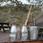 小さな森の喫茶店　レストラン　ワイルドダック - レストラン　ワイルドダック