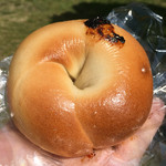 カエル ベーグル - のり佃煮&クリームチーズ 250円。