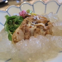 横浜 星のなる木 - 