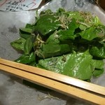 臥薪 - ほうれん草サラダ