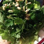 ダバ インディア - サラダ、微妙