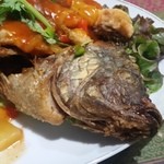 いなかむら - なかなかりりしい顔つきのティラピア