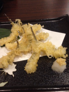 Rikyu Kamata photo 5