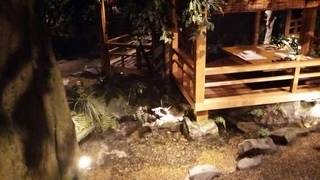 銀座のおしゃれ居酒屋8選 美味しい料理をご堪能あれ 食べログまとめ