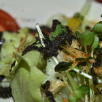 10時間オムライス専門店 ビストロ かぼちゃのNABE - 胡麻ドレッシングが旨い