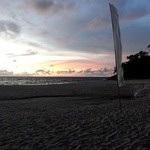 Sun Flower Restaurant - 