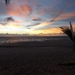 Sun Flower Restaurant - 