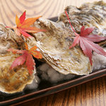 九州郷土料理 赤坂有薫