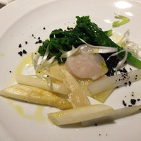 GARB pintino - 