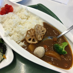 Midori Shokudou - 野菜カレー