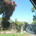 RED HILL CHEESE - モーニントン半島のドライブです（＾＾