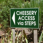 RED HILL CHEESE - 駐車場