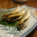 Izakaya Maruta - 氷下魚一夜干し