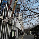 うどん屋麺之介 - サクラ咲く季節に行きましたよ♪ヽ(´ω` )ノ