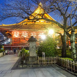 Guriru Sakura - 夜の浅草寺