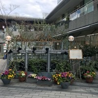 メゾン ポール・ボキューズ - 